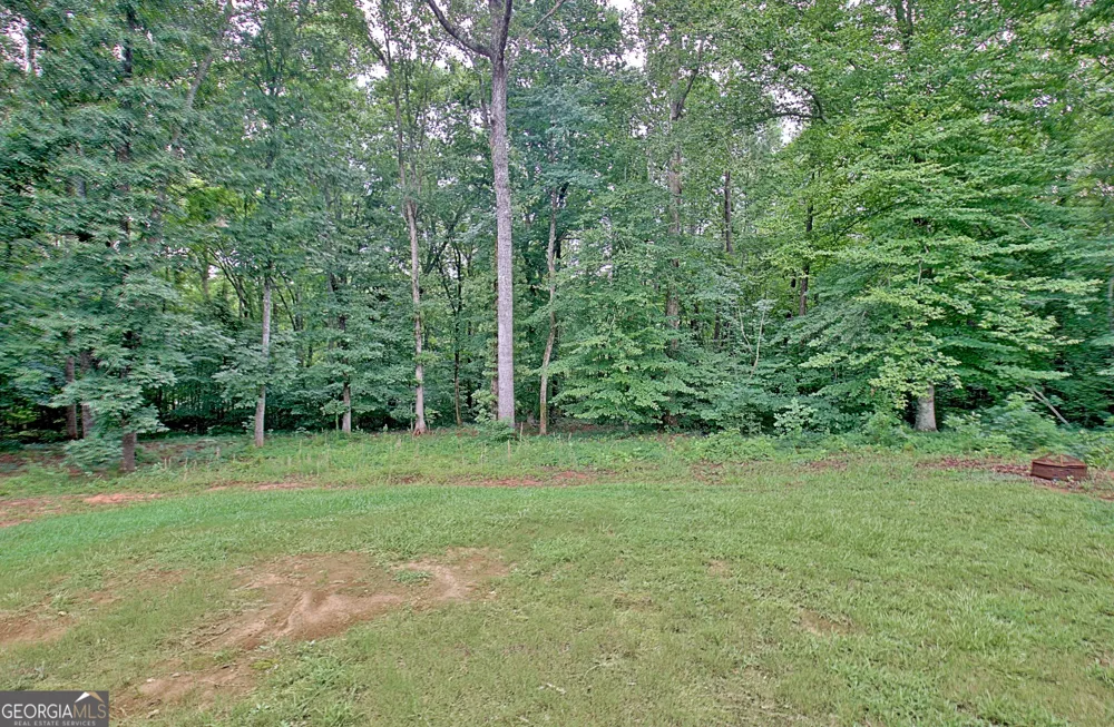 138 Old Bailey Farms DR Senoia, GA 30276
