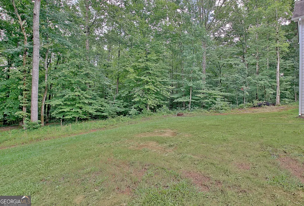138 Old Bailey Farms DR Senoia, GA 30276