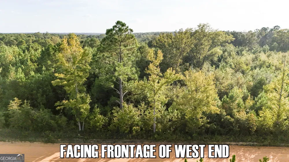 2340 Joyner Oglesby Rd. (Lot 2) Sardis, GA 30456