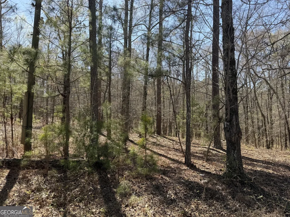 1430 Cleveland Farm RD Locust Grove, GA 30248