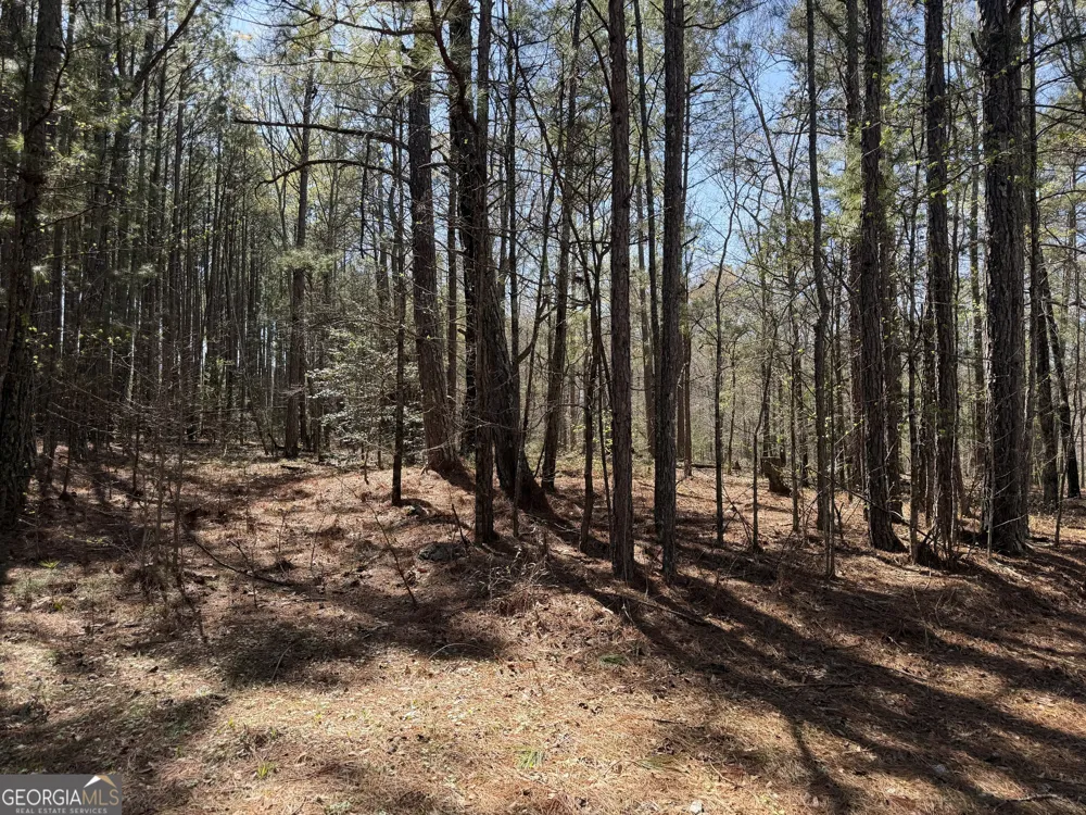 1430 Cleveland Farm RD Locust Grove, GA 30248
