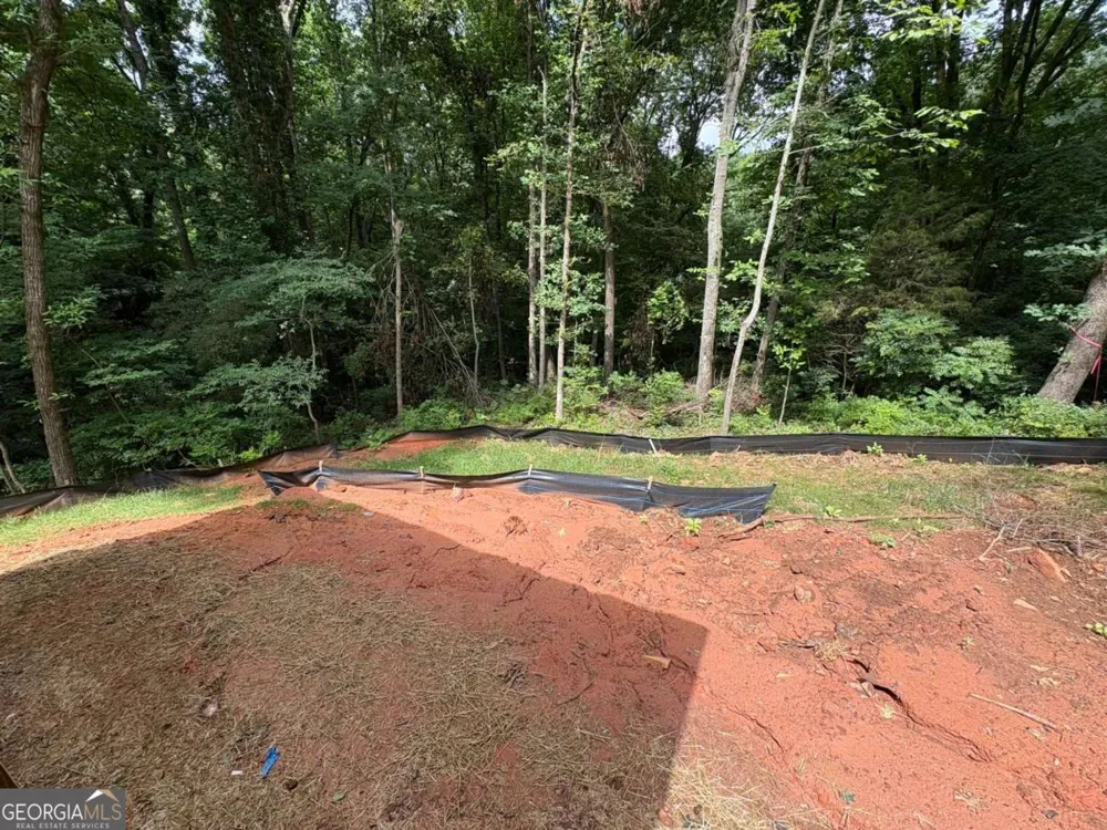 380 University CIR Athens, GA 30605