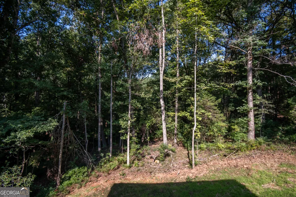 380 University CIR Athens, GA 30605