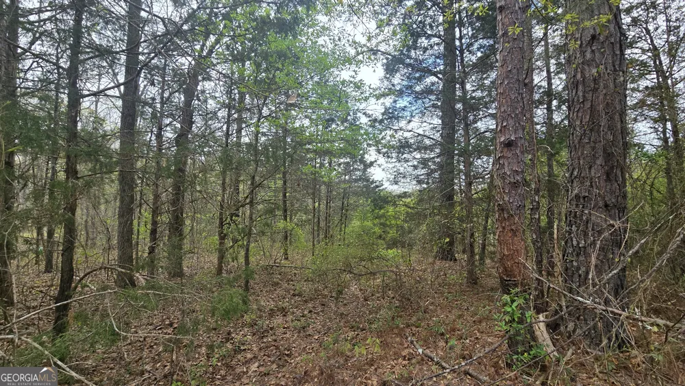 0 Cherry RD Franklin, GA 30217