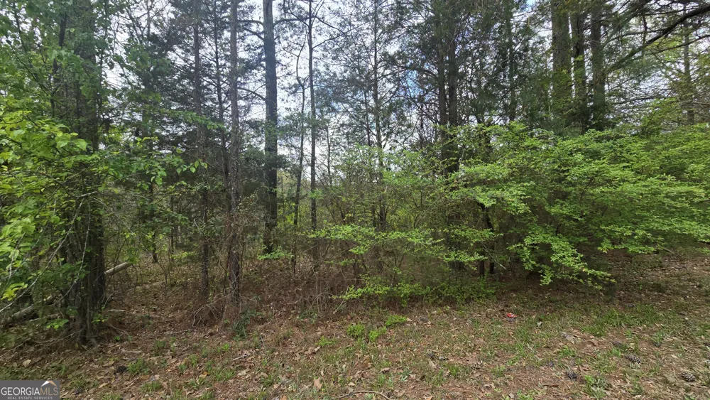 0 Cherry RD Franklin, GA 30217