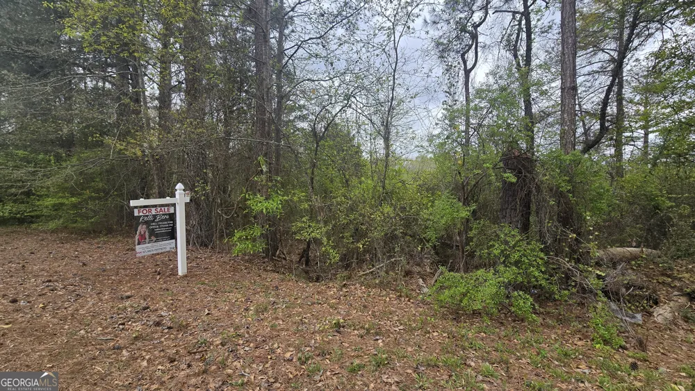 0 Cherry RD Franklin, GA 30217
