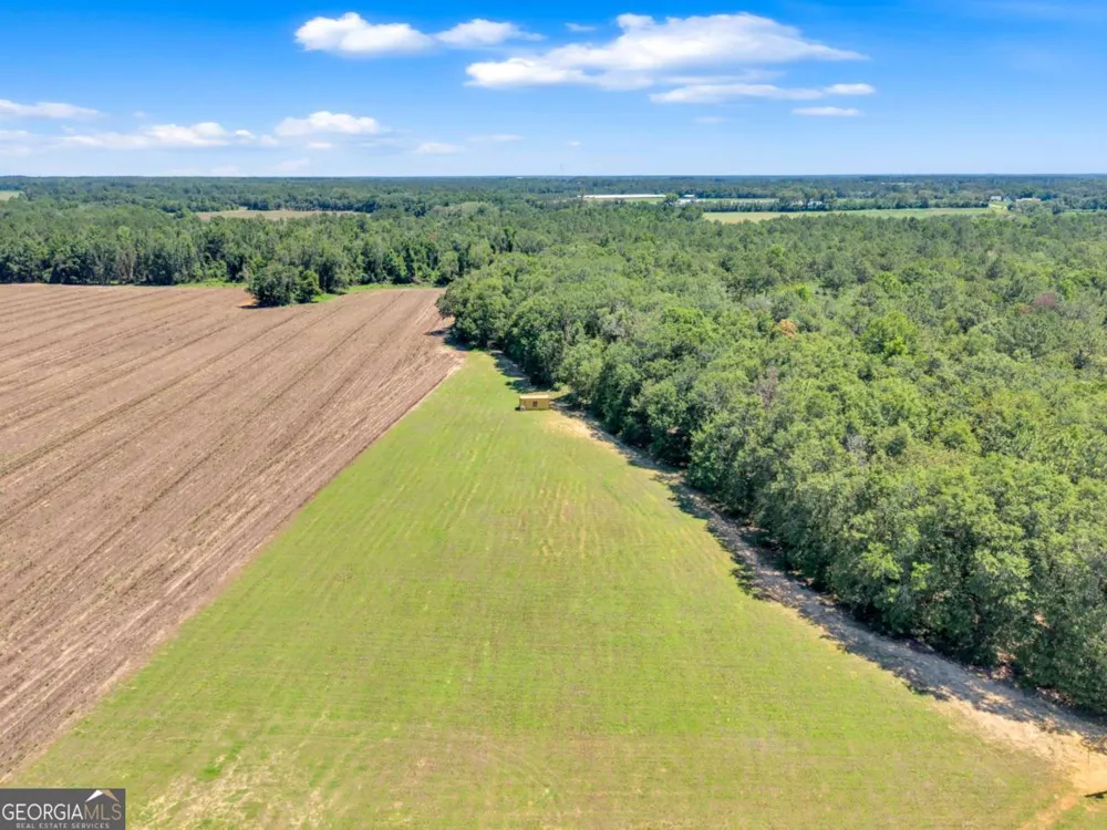 2997 Jason Franklin RD Register, GA 30452