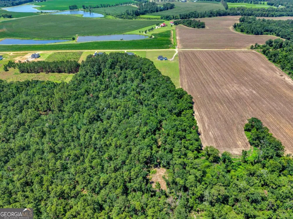 2997 Jason Franklin RD Register, GA 30452