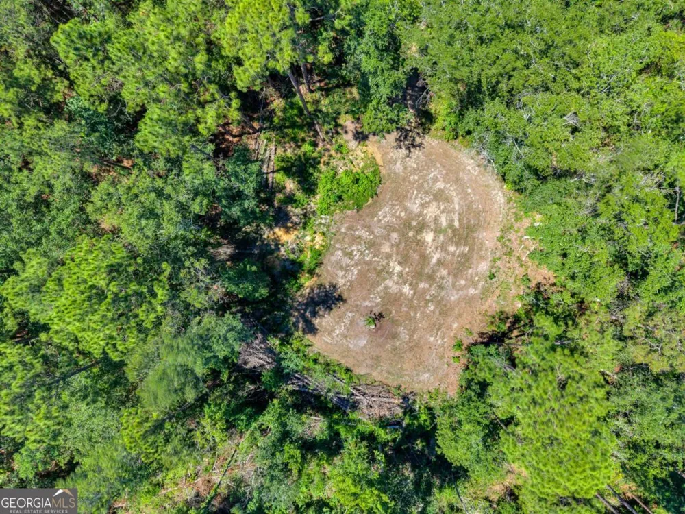 2997 Jason Franklin RD Register, GA 30452