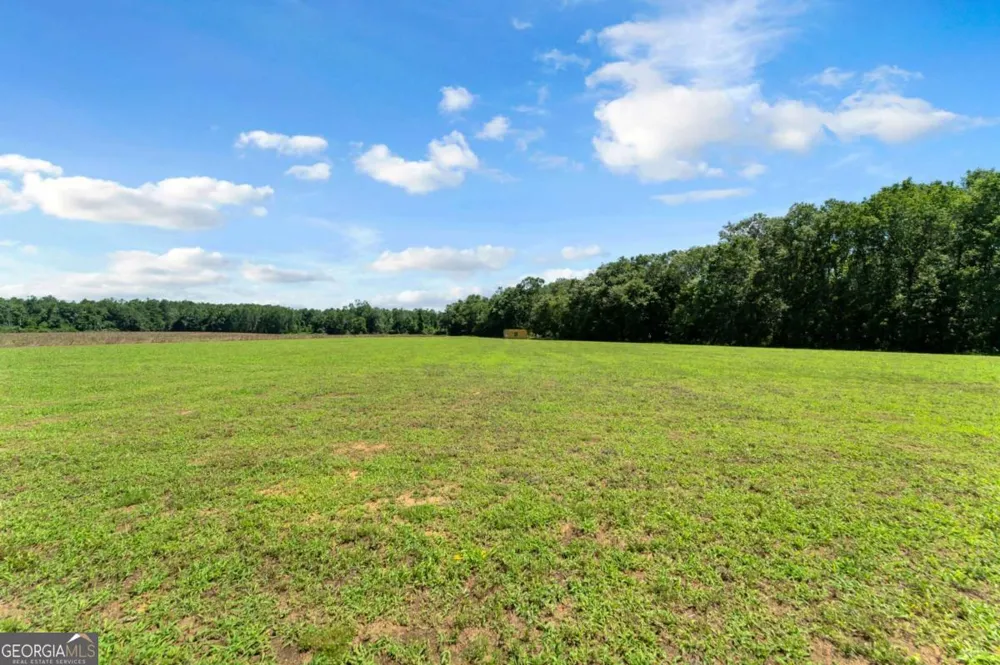 2997 Jason Franklin RD Register, GA 30452