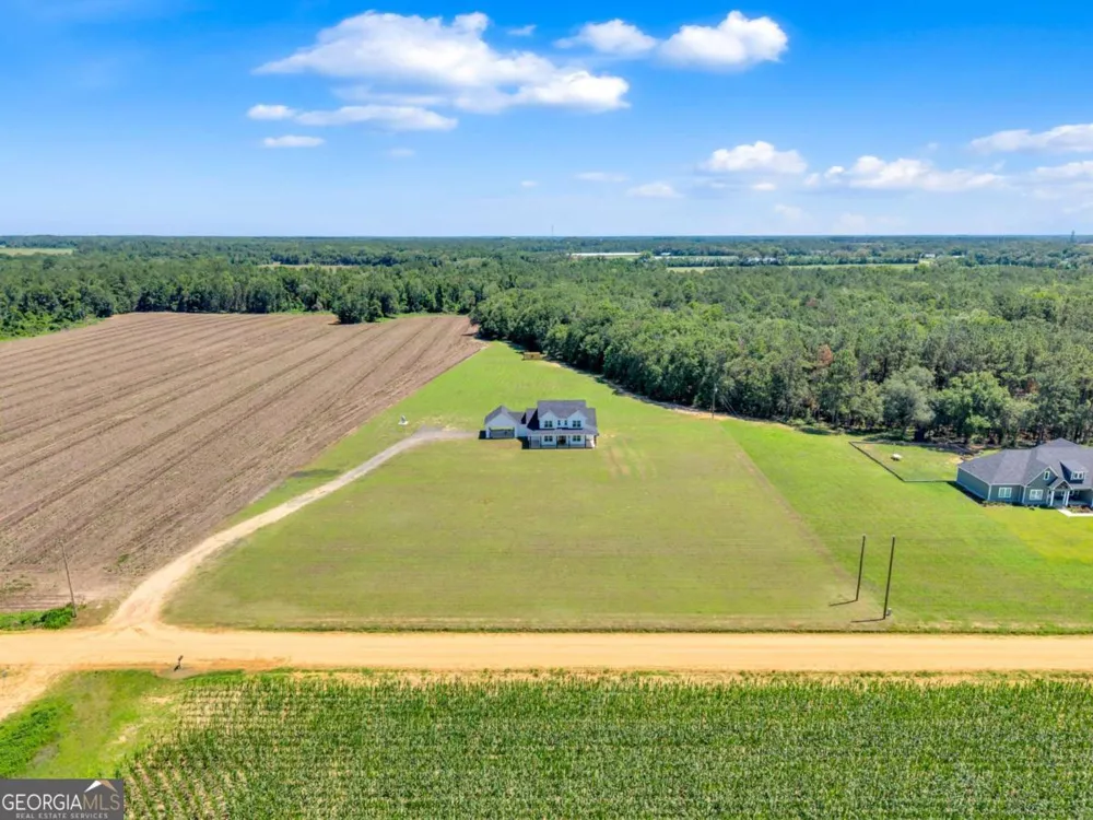 2997 Jason Franklin RD Register, GA 30452