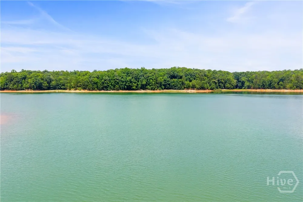 102 Pine Tree Trace Lavonia, GA 30553