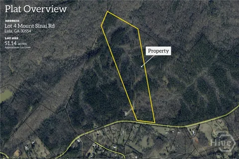 Mt. Sinai #Lot 4