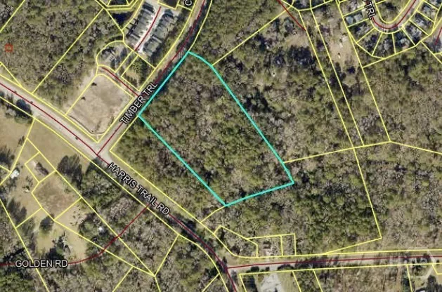 Timber Trail Richmond Hill, GA 31324