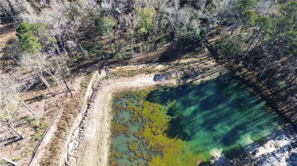 Timber Trail Richmond Hill, GA 31324