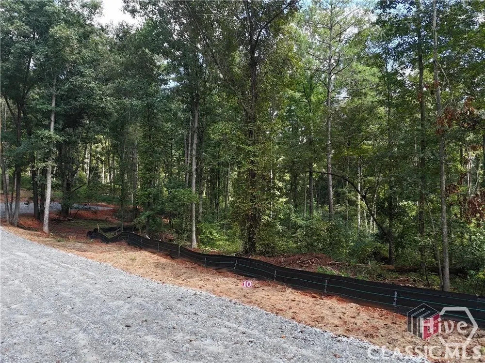354 Sanford Oak Court #Tract 10 Nicholson, GA 30565