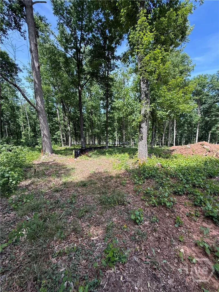 354 Sanford Oak Court #Tract 10 Nicholson, GA 30565