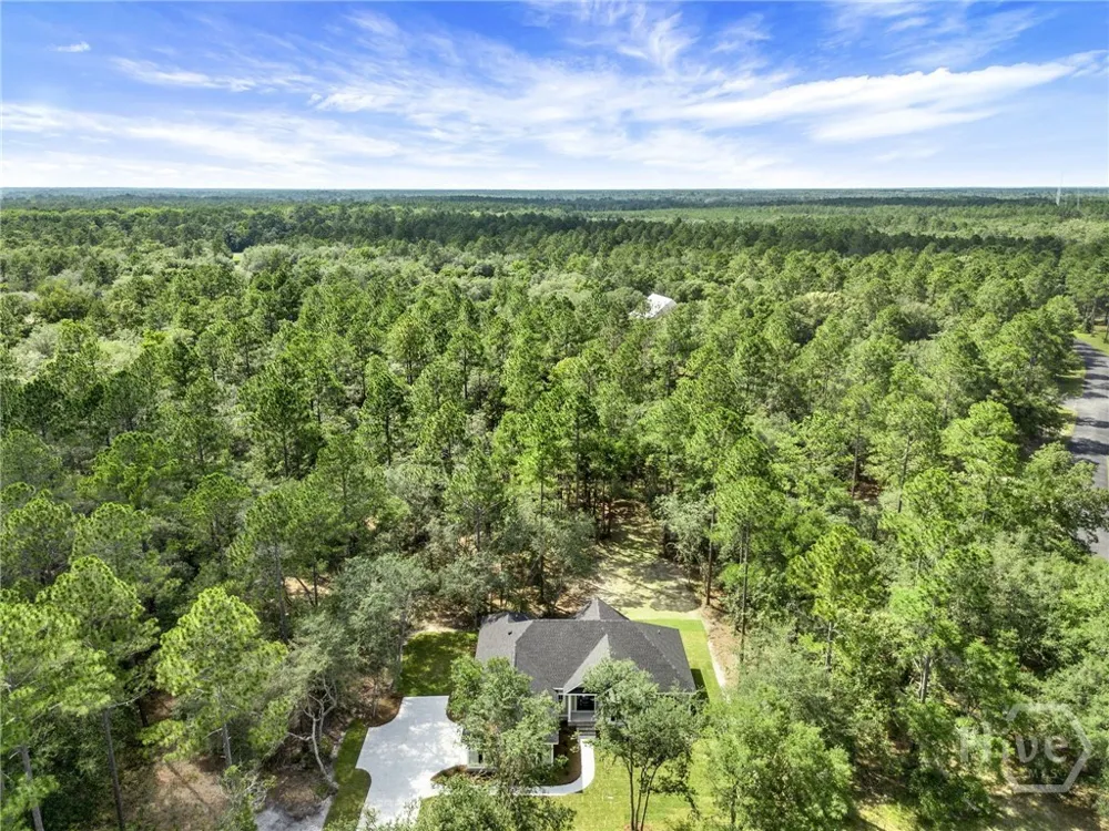 1147 White Tail Drive NE Townsend, GA 31331