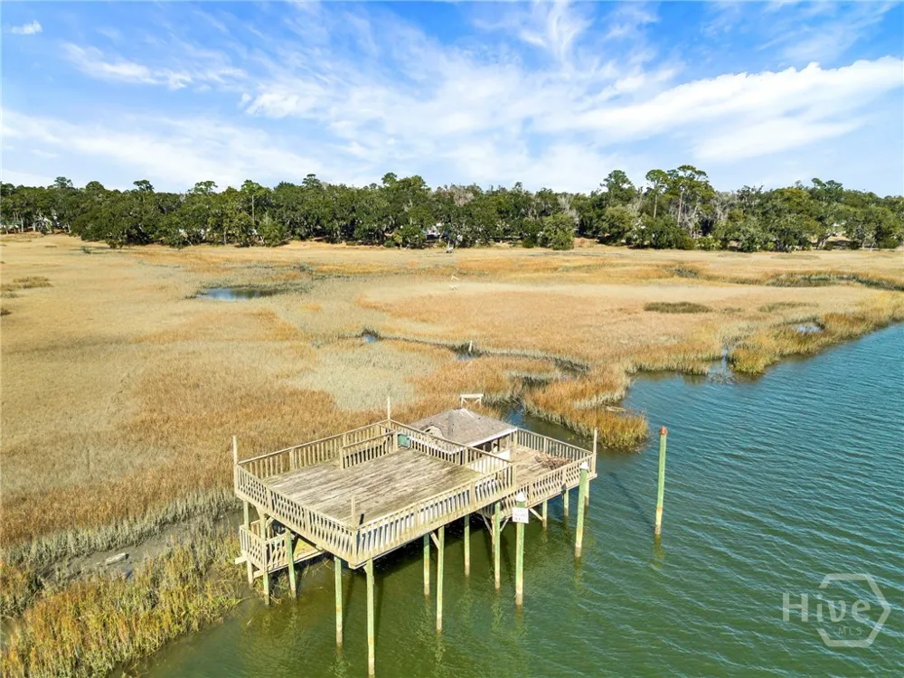 1214 Shell Point Road NE Townsend, GA 31331