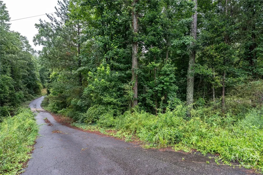 70 Katie Lane Carlton, GA 30627