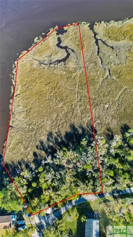 Palm Island Drive