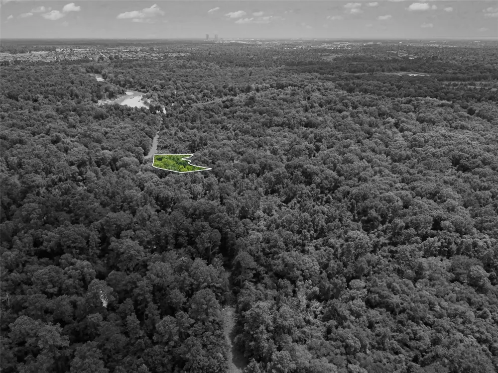 7000-07-02200 Conroe, TX 77302