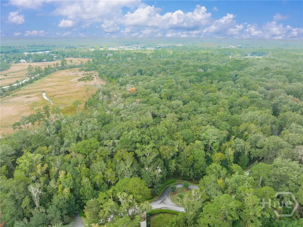 430 McAllister Landing Richmond Hill, GA 31324