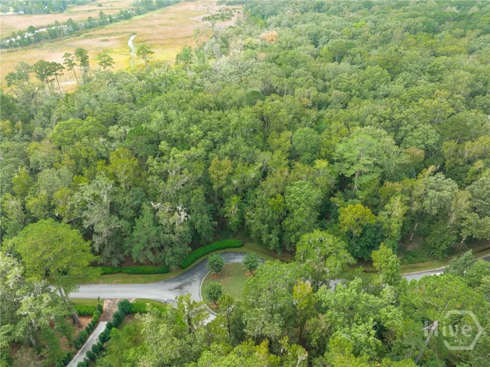 430 McAllister Landing Richmond Hill, GA 31324