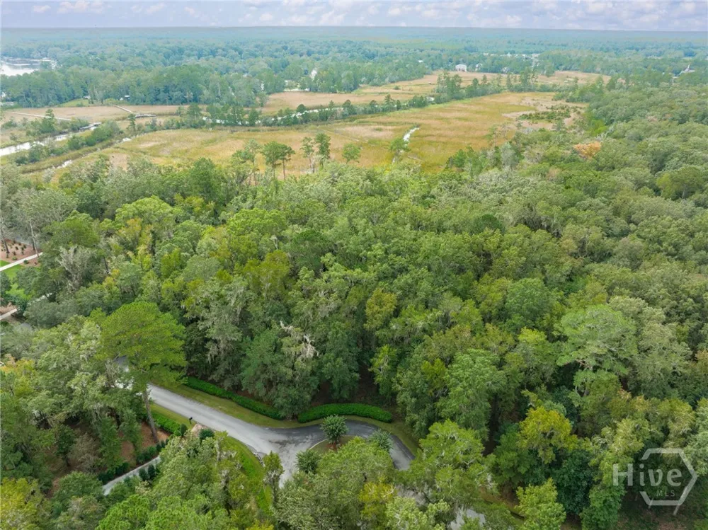 430 McAllister Landing Richmond Hill, GA 31324