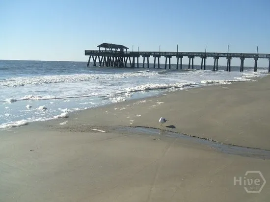 18 Silver Avenue #4 Tybee Island, GA 31328
