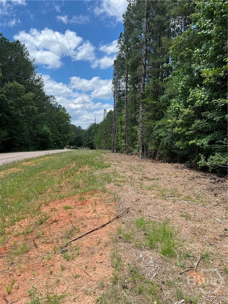Stinchcomb Road Elberton, GA 30635
