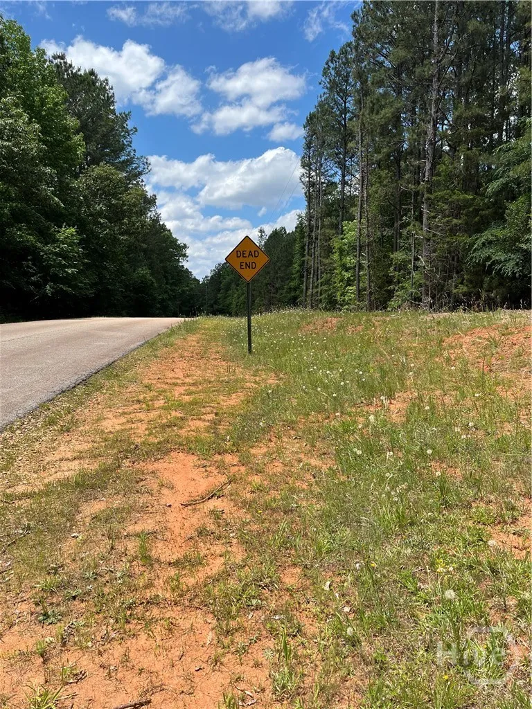 Stinchcomb Road Elberton, GA 30635