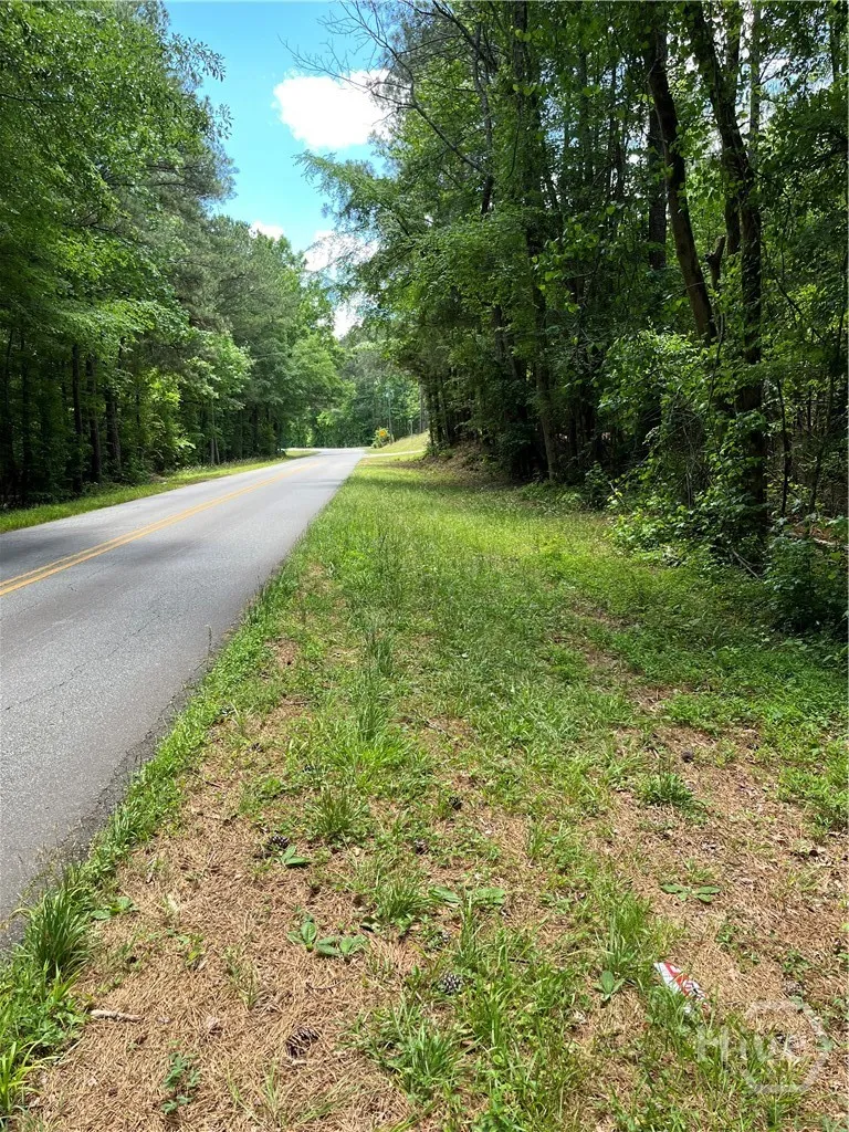 Stinchcomb Road Elberton, GA 30635