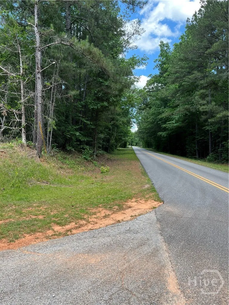 Stinchcomb Road Elberton, GA 30635