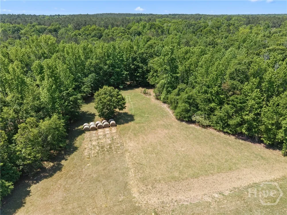 4194 Ivey S. Lane Millen, GA 30442