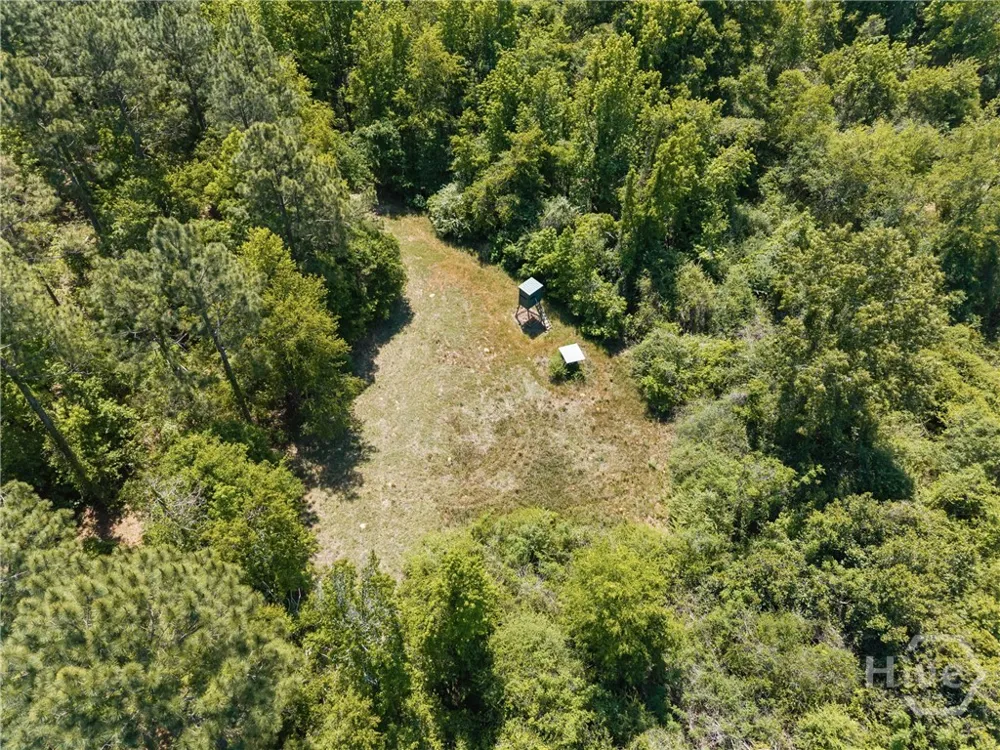 4194 Ivey S. Lane Millen, GA 30442