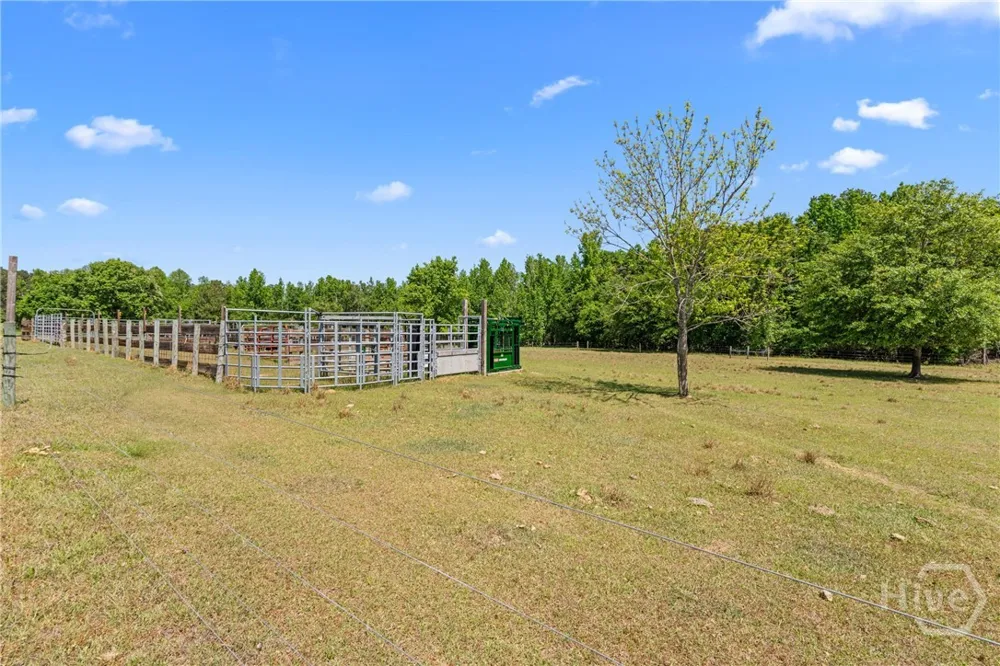 4194 Ivey S. Lane Millen, GA 30442