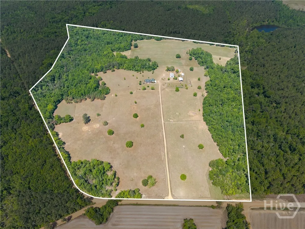 4194 Ivey S. Lane Millen, GA 30442