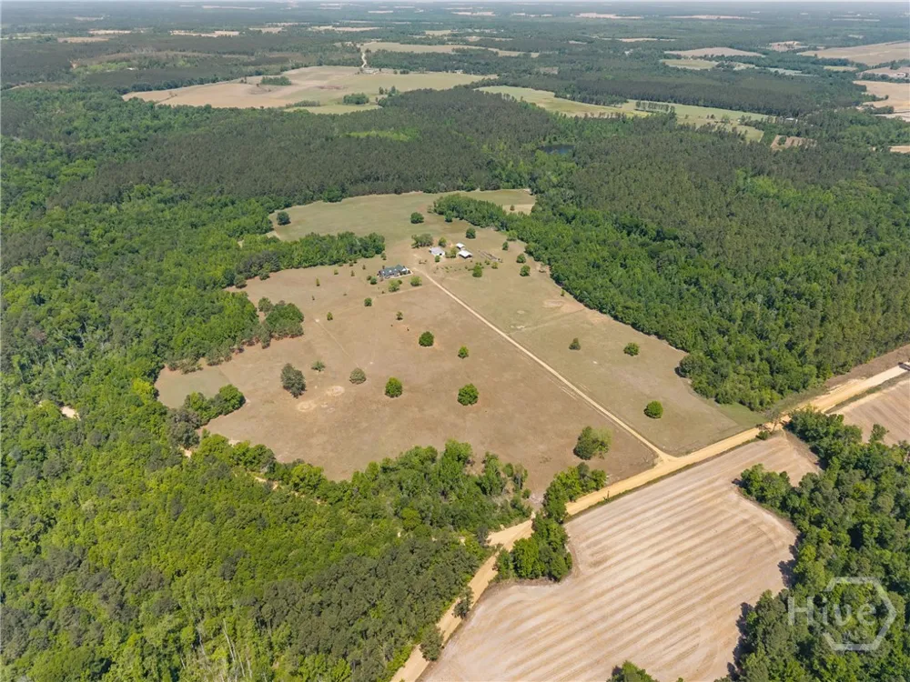 4194 Ivey S. Lane Millen, GA 30442