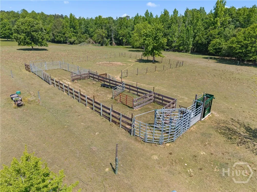 4194 Ivey S. Lane Millen, GA 30442