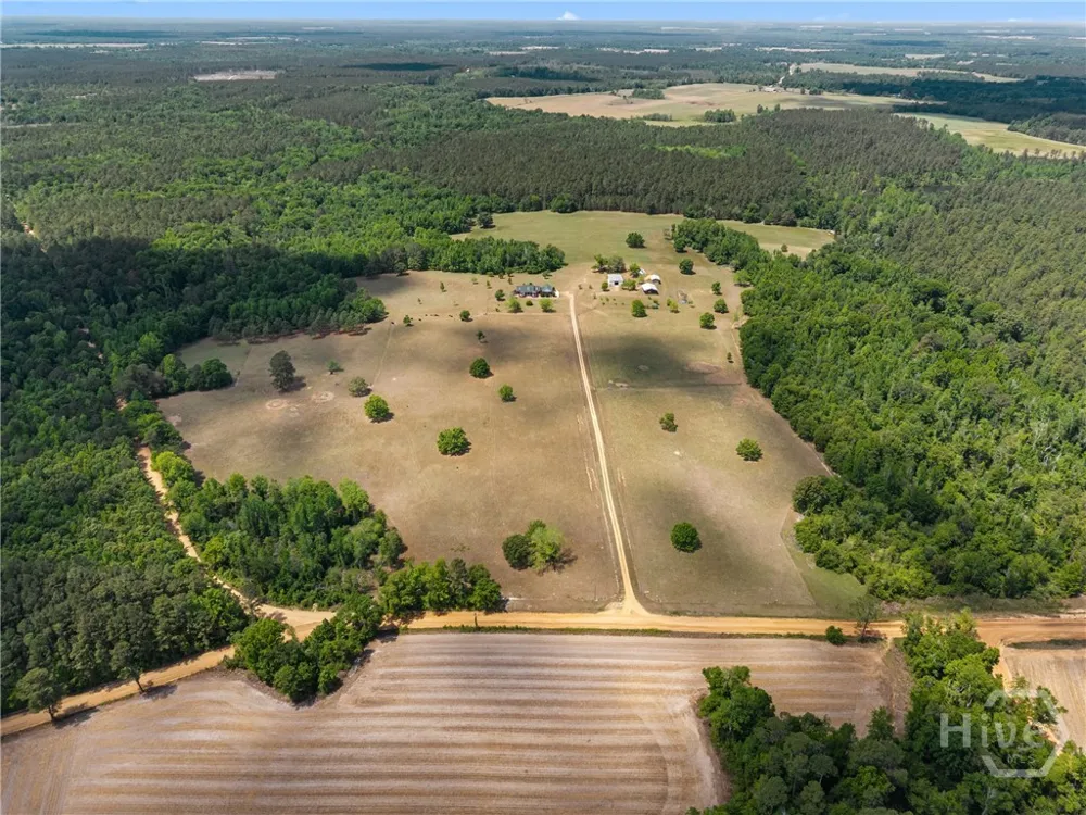 4194 Ivey S. Lane Millen, GA 30442