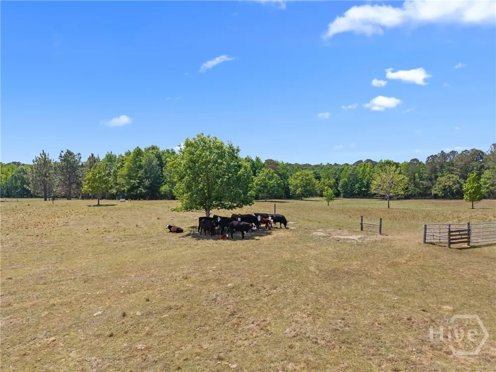 4194 Ivey S. Lane Millen, GA 30442