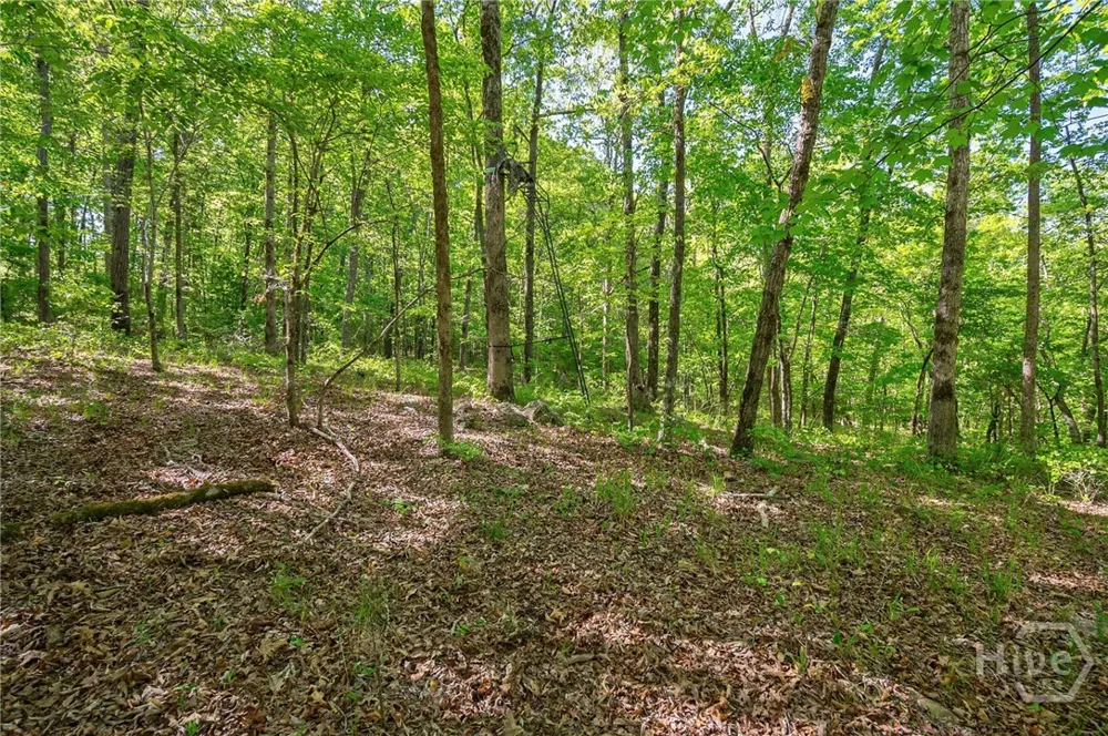 Brewer's Bridge Road Elberton, GA 30635