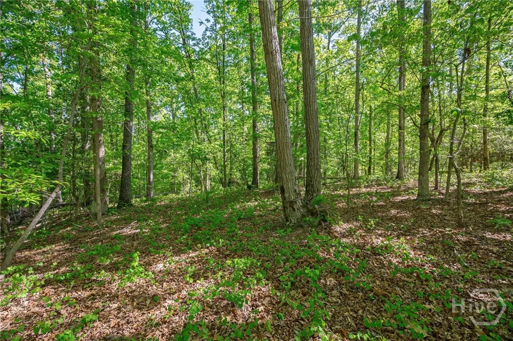 Brewer's Bridge Road Elberton, GA 30635