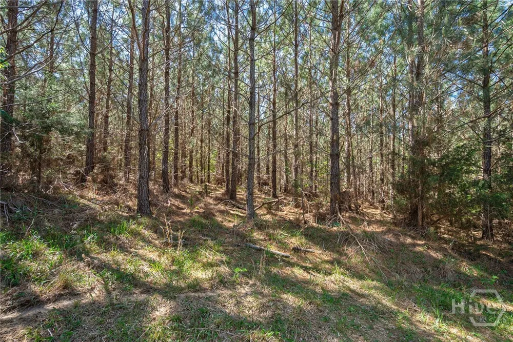 Brewer's Bridge Road Elberton, GA 30635