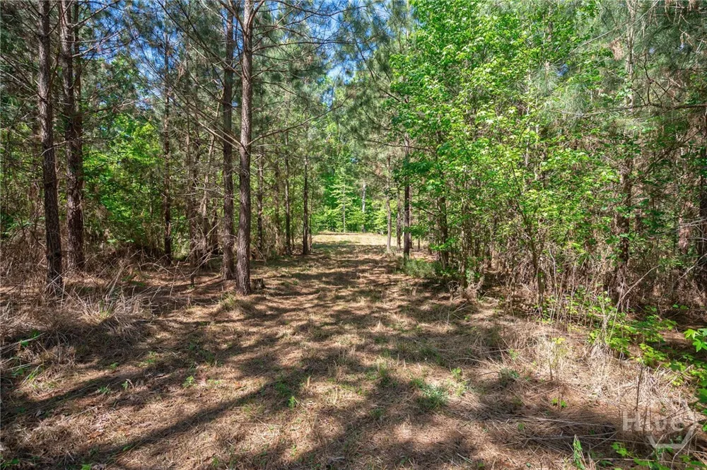 Brewer's Bridge Road Elberton, GA 30635