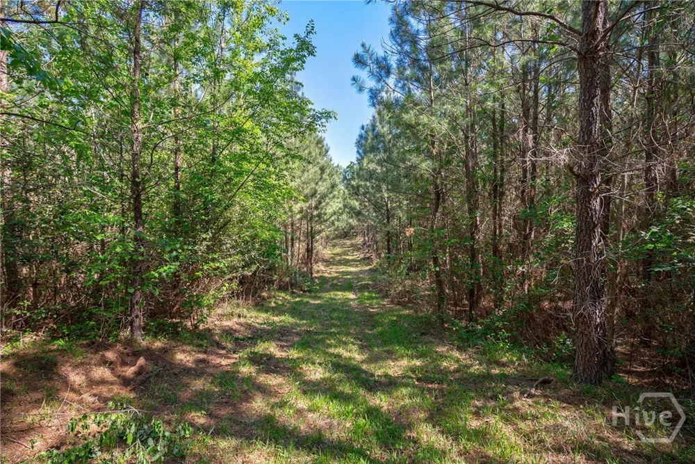 Brewer's Bridge Road Elberton, GA 30635