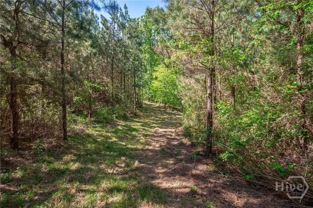Brewer's Bridge Road Elberton, GA 30635