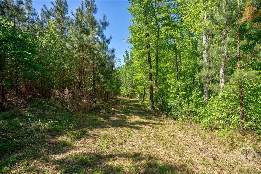 Brewer's Bridge Road Elberton, GA 30635