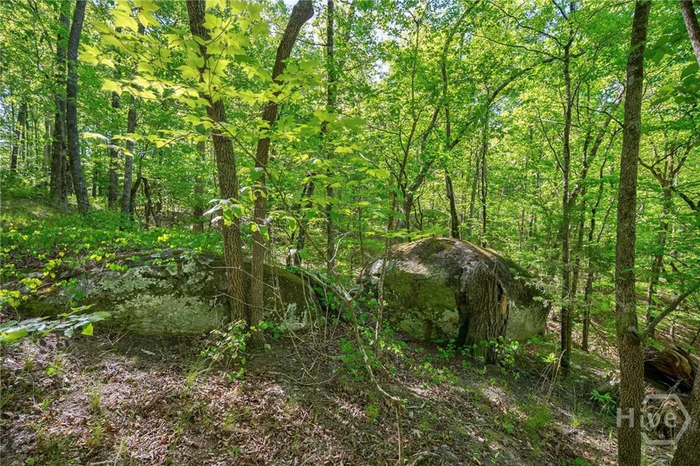 Brewer's Bridge Road Elberton, GA 30635